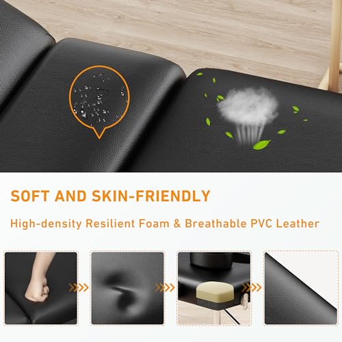 Massage Table Portable 84" Long 24" Wide Professional 3 Sections Reclining Massage Couch, Aluminum Adjustable Esthetician Bed Tattoo Table SPA Lash Salon Bed with Carrying Bag (Black)