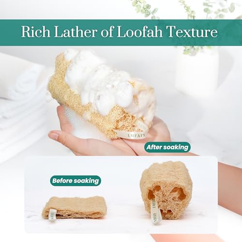 Natural Loofah Sponge, 5?Pack (6") Exfoliating Body Scrubber for Shower, Luffa Sponge, Bath & Kitchen ? Plant-Based