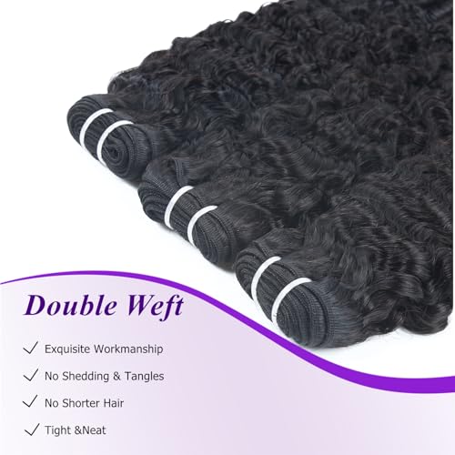 Burmese Curly Bundles Human Hair 20 22 24 Inches 3 Bundles 3C4A Water Wave Quick Weave with Spiral Curly End 100% Raw Human Hair Bundles Curly Hair Extensions for Women Natural Black