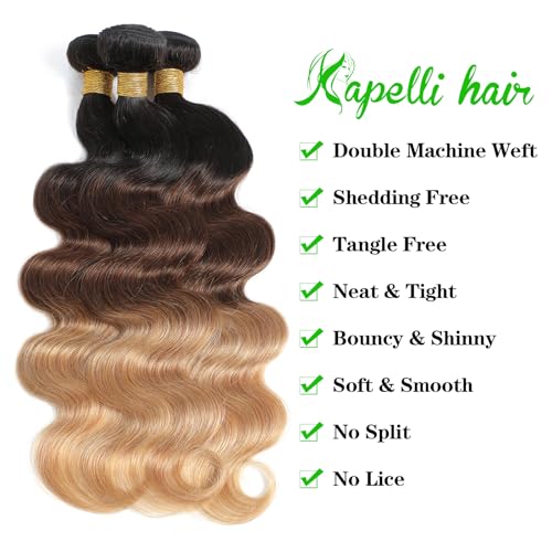 Ombre Human Hair Bundles (T1B/4/27, 20 22 24) Body Wave Bundles Human Hair 12A 100% Brazilian Virgin Remy Hair 3 Tone Black to Honey Blonde Weave