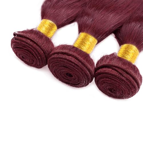 Burgundy Bundles Human Hair 99J Straight 3 Bundles 18 20 22 inch 8A Brazilian Virgin Hair Extensions 99J Bundle 300g