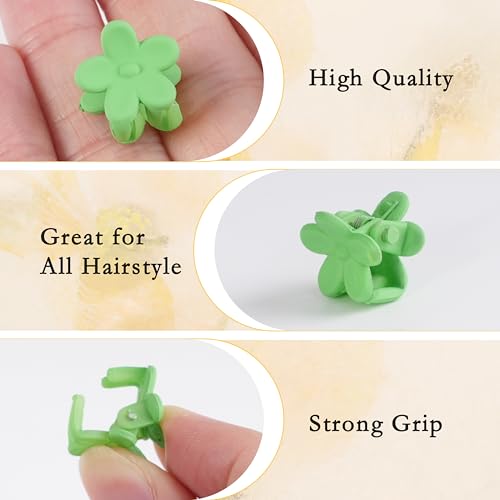 120 Mini Hair Accessories: Colorful Claw Clips, Flower Clips in a Beautiful Box for Women, Girls and Toddlers