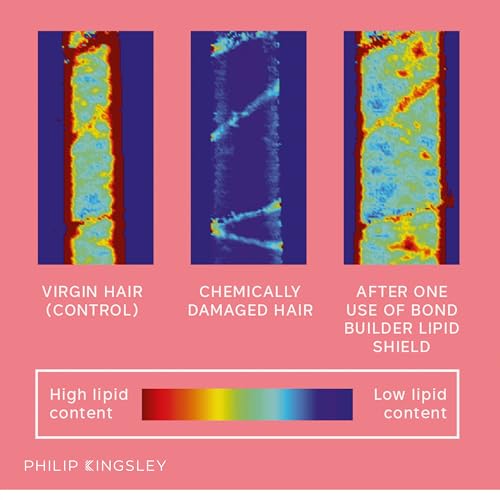 PHILIP KINGSLEY | Bond Builder Lipid Shield | Restorative Hair Oil Treatment for Dry and Damaged Hair | Heat Protectant Hair Moisturizer that Replenishes Dry and Damaged Hair | 1.01oz