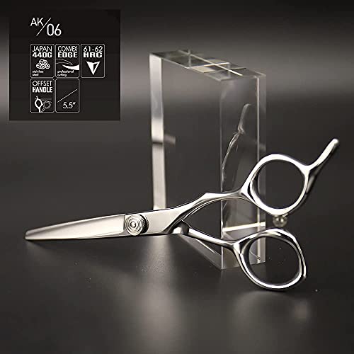 AOLANDUO Professional Shears for Hair Cutting, VG10 Steel Scissors to Cut Hair Professional, Precision Barber & Hair Stylist Shears, Ergonomic, 1 Count, 5.5 Inch