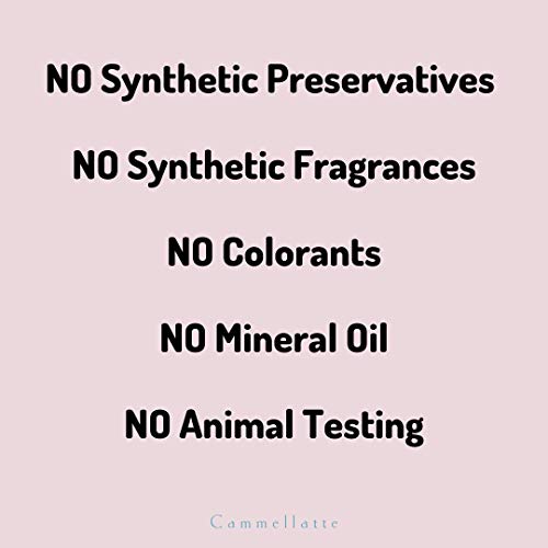 Cammellatte Camel Milk Body Lotion. Daily Moisturizer, Natural Skincare, Containing Superfood Camel Milk with Vitamins, AHAs, and Fatty Acids 6.76 Ounces