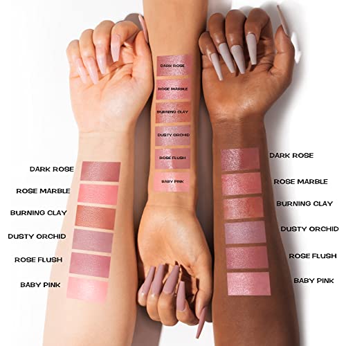 FOCALLURE Cream Blush Makeup,Buildable Blush Stick for Cheeks,Matte and Dewy Finish,Long Wearing,Easy Application,Lightweight Multi Stick,ROSE FLUSH
