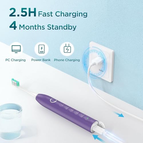 Fronix Electric Toothbrush for Adults with 8 Brush Heads, Sonic Toothbrush Rechargeable with a Holder & Travel Case, 2.5 Hours Charge for 120 Days Use - Purple