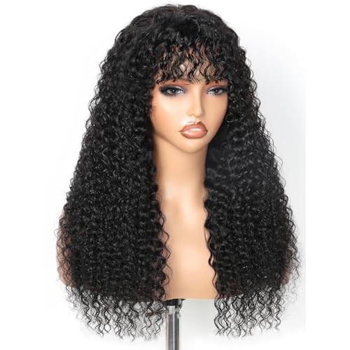 Ruiyu Shaggy Haircuts Curly Wig with Bangs Human Hair 2x4 HD Lace Closure Wear and Go Glueless Wig Water Wave Wigs with Bangs for Black Women 100% Brazilian Virgin Human Hair 20 Inch
