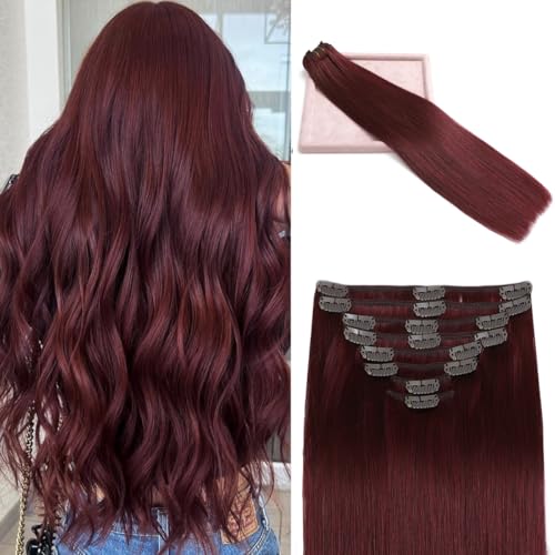 Clip in Hair Extensions Real Human Hair, Red Wine Remy Human Hair Extensions Clip ins for Women, 100% Natural Human Hair, Double Weftm, 24inch 120g 8Pcs, #99J Burgundy