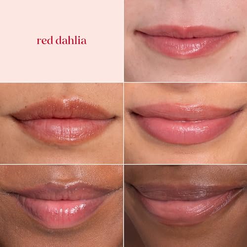 Burt's Bees Lip Tint Balm Stocking Stuffers Gifts, Long Lasting 2 in 1 Duo Tinted Balm Formula, Color Infused with Hydrating Shea Butter for a Natural Looking Buildable Finish, Red Dahlia (2-Pack)