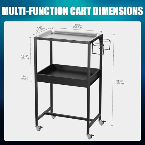 POARMEEY 2-Tier Tattoo Rolling Trolley Holder,Tray Cart on Wheels with Removable Stainless Steel Tray,Tool Storage Layer for Tattoo Salon Spa Clinics Office Home Use