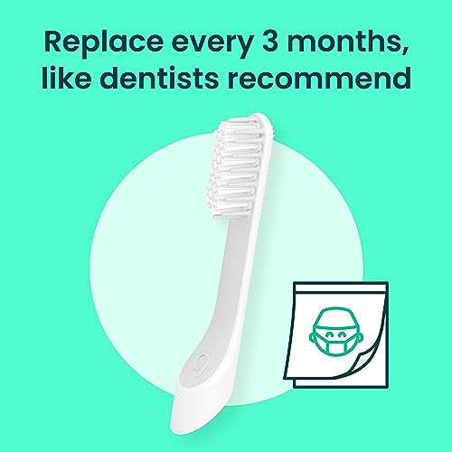 quip Sonic Toothbrush Replacement Heads for Adults - 3 Pack - Verified quip Standard Brush Head Refills for Electric Toothbrushes - Soft Bristles, Compact & Flexible - Last 3 Months Each