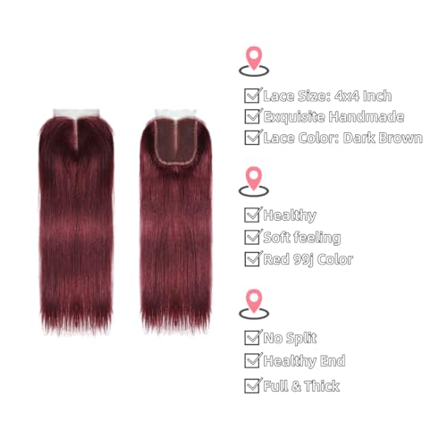 99j Burgundy human hair Straight Hair 20 22 24 with 20closure 8A Brazilian Virgin Hair 99j Burgundy Straight Hair Weaves Bundle Free Part Red Wine Color 100% Unprocessed Human Hair Weft Weaves