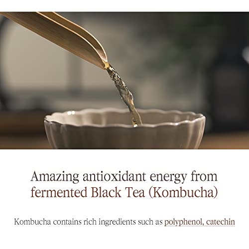 Pyunkang Yul PKY Black Tea Deep Infusion Toner for Anti-Aging, Rich Moisture Toner for Fine Line Care & Firmer Facial Skin, Zero-Irritation, Korean Skincare (4.39 Fl. Oz, 130ml)