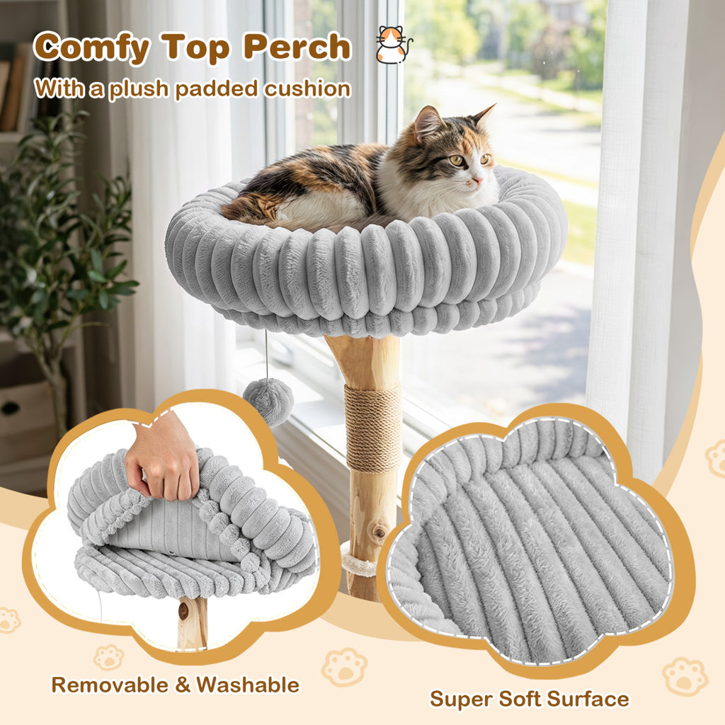 Gray 41 Inch Modern Cat Tower with Real Wood Branches, Scratching Posts & Cozy Condo