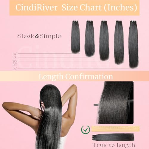Silky Straight Clip in Hair Extensions Real Human Hair,22 inch 4.24oz Remy Human Natural Hair Clip ins for Women 8pcs Double Weft