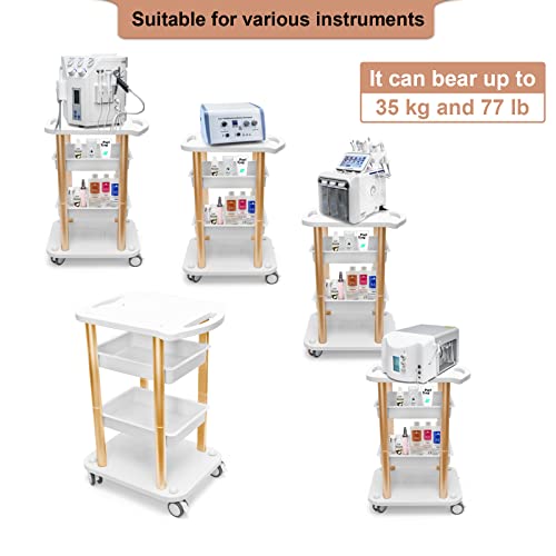Beauty Salon Trolley Spa Styling Pedestal Rolling Cart Two Shelf ABS Aluminum Elitzia ETTROLLEY5 (Gold cart)