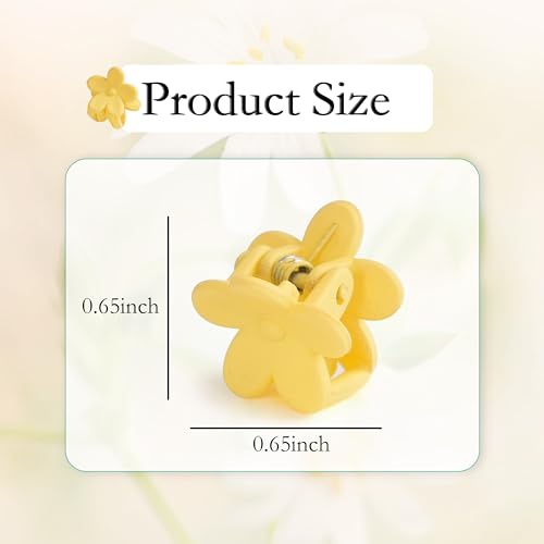 120 Mini Hair Accessories: Colorful Claw Clips, Flower Clips in a Beautiful Box for Women, Girls and Toddlers