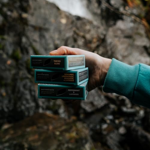 Alaska Glacial Cold-Process Mineral Clay Soap Bar made with Organic Oils | Face, Body, Shampoo & Shave | Hydrates & Detoxifies | For All Skin Types ? Citrus Blend, 2 Pack