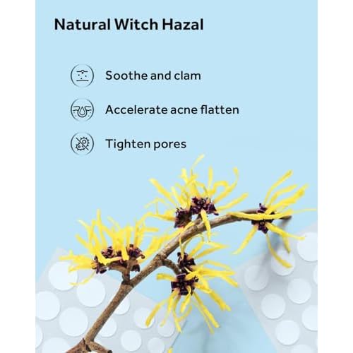 LitBear Acne Pimple Patches- Day and Night 4 Sizes 588 Dots Thin & Thick Hydrocolloid Patches with Witch Hazel, Tea Tree & Calendula Oil, Extra Adhesion for Face Zit Patch Dots