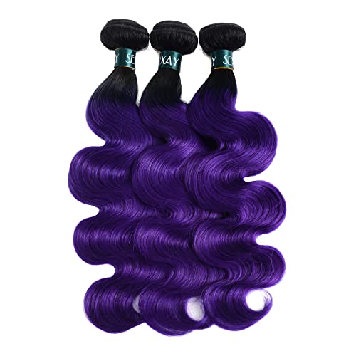 Purple Ombre Bundles with Closure Body Wave Human Hair Weave, Brazilian 3Bundles with Free Closure Virgin Remy Hair Ombre 1b/purple 2 Tone Wavy for Women (141618+12"closure, 1b/Purple)