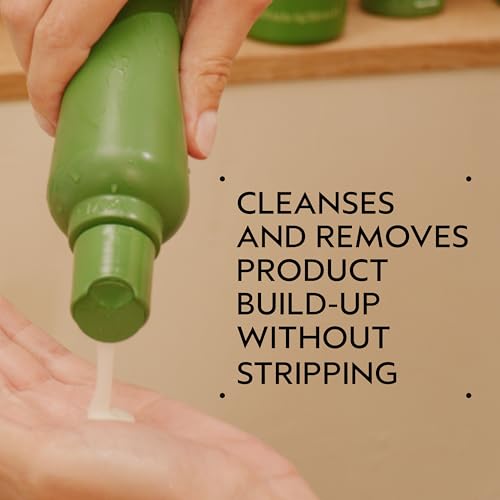Aveda Be Curly Advanced Shampoo | Moisturizing Shampoo for Curly, Coily, Wavy Hair | Fights Frizz | Sulfate Free, Silicone Free | 94% Naturally Derived*