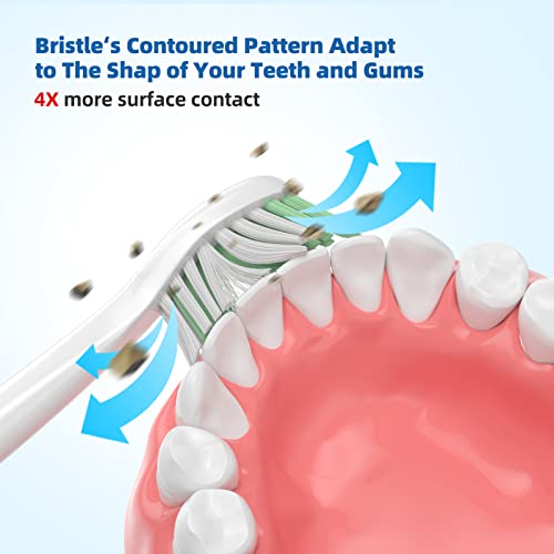 One Series Replacement Toothbrush Heads Pisonicleara Compatible with sonicare Philips One Series BH1022/03 HY1100/02 HY1102 (8-pc) Battery Brush, Mango Snow White