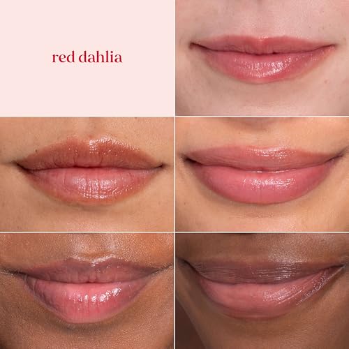 Burt's Bees Lip Tint Balm, Long Lasting 2 in 1 Duo Tinted Balm Formula, Color Infused with Hydrating Shea Butter for a Natural Looking Buildable Finish, Red Dahlia, 1 Tube