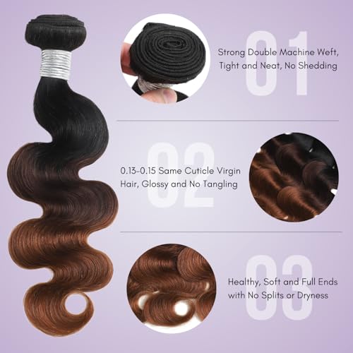 Chestnut Brown Ombre Body Wave 3 Bundles with 2x6 Hd Lace Closure Human Hair 10 12 14+10, 12A Bundles with Kim K Closure Long Deep Parting #T1B/2/30 3 Tone Medium Brown Colored Sew In Extension