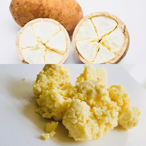 Cupuacu butter 16 oz-Pure and Natural | Fresh, Rich and Creamy in DIY mixes | Vegan butter | Use for whipped body butters, salves, lotions & soaps. (16 oz)