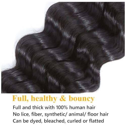 QTHAIR 16A Brazilian Loose Deep Wave Bundle 100% Unprocessed Bundles Brazilian Virgin Loose Deep Curly Human Hair Weave Wet and Wavy Curly Hair1 Bundle 12inch Human Hair