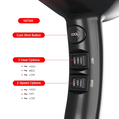 1875W Professional Hair Dryer, Salon Lightweight Ionic Blow Dryer, 2 Speed and 3 Heat Settings, Powerful Ceramic Fast Dryer with Diffuser, Concentrator and Comb (Black)
