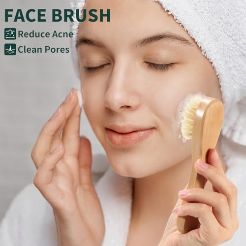 Dry Brush Set for Body & Face - Dry Brushing Body Brush with Long Handle & 3 Replacement Heads (Soft/Medium/Firm) for Lymphatic Drainage Cellulite