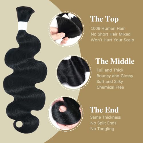 Body Wave Bulk Human Hair For Braiding No Weft Braids Human Hair Brading Hair Extensions 100g One Bundle Wet and Wavy Human Braiding Hair For Boho Braids Natural Black(20inch, Natural Black)