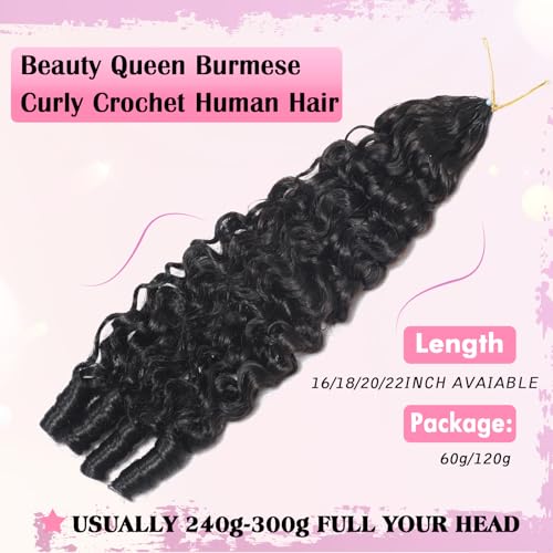 Beauty Queen Burmese Curly Crochet Human Hair 16inch 120g Knotless Pre-Separated Feather Human Crochet Hair Lightweight Reusable Remy Hair Extensions With Spiral Curl for Women Natural Black Color