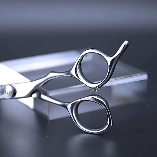 AOLANDUO Professional Shears for Hair Cutting, VG10 Steel Scissors to Cut Hair Professional, Precision Barber & Hair Stylist Shears, Ergonomic, 1 Count, 5.5 Inch