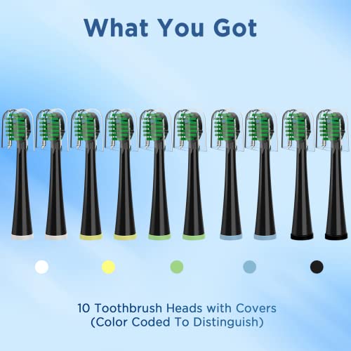 Replacement Toothbrush Heads for All Waterpik Sonic Fusion Models (SF-01, SF-02, SF-03, and SF-04 Series), Compact, with Covers, 10 Count, Black