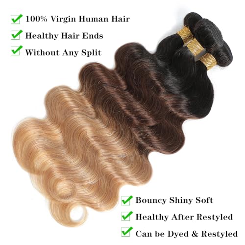 Ombre Human Hair Bundles (T1B/4/27, 20 22 24) Body Wave Bundles Human Hair 12A 100% Brazilian Virgin Remy Hair 3 Tone Black to Honey Blonde Weave