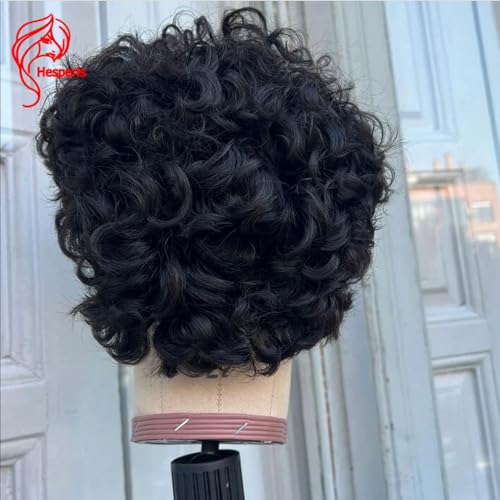 Hesperis Short Pixie Cut Full Lace Wig for Men Curly Men Wigs Human Hair Pre Plucked Pixie Human Hair Wigs Brazilian Remy Hair