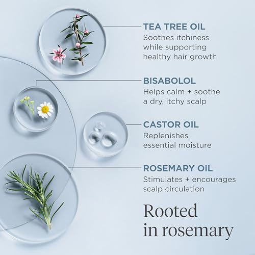 Briogeo Scalp Revival Rosemary Pre-Wash Oil, Hair and Scalp, Dry Scalp Treatment for Stronger and Longer Hair, Soothe Dry Scalp, Lipids and Vitamins, Deep Moisture, Vegan, Cruelty-Free