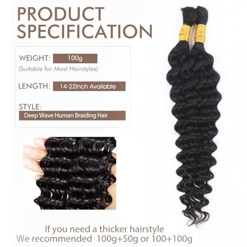 Odir 14 Inch Deep Wave Bulk Human Hair for Braiding No Weft 100% Unprocessed Brazilian Curly Braiding Human Hair Extensions Wet and Wavy Human Braiding Hair for Boho Braids 2 Bundles 100g
