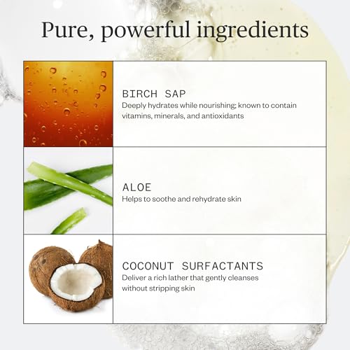 Ursa Major Botanic Buzz Hand Wash | Natural Liquid Hand Soap | Cleanses, Hydrates, Moisturizes & Soothes | Vegan, Cruelty-Free & Non-Toxic | 10oz