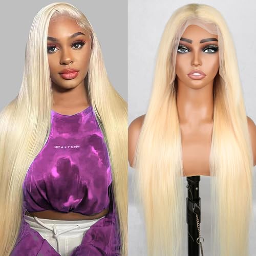 613 13x6 Lace Front Wig Human Hair 200 Density 30 Inch Straight 613 Blonde Wig Human Hair 13x6 200 Density HD Lace Front Wigs Human Hair Blonde Pre Plucked for Women