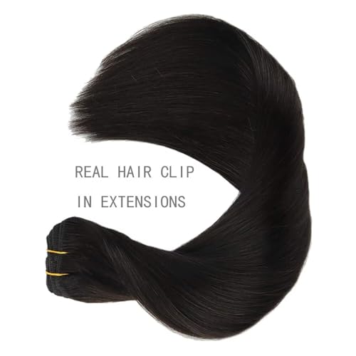 Remy Hair Extensions clip ins Hair Etensions for Women 1b Black Double Weft Natural Hair Extensions Straight 8Pcs Soft and Thick 24inch 110g