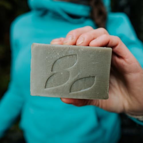 Alaska Glacial Cold-Process Mineral Clay Soap Bar made with Organic Oils | Face, Body, Shampoo & Shave | Hydrates & Detoxifies | For All Skin Types ? Citrus Blend, 2 Pack