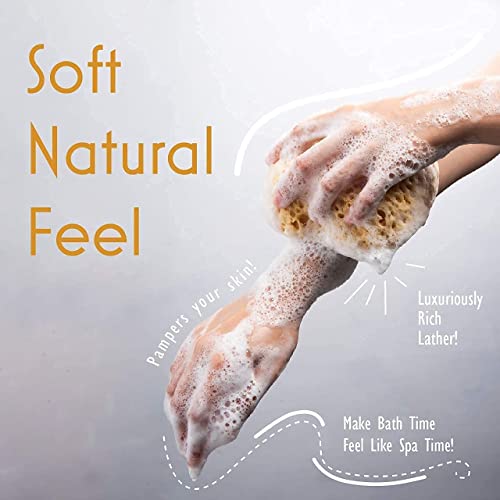 myHomeBody Bath Sponge, Foam Loofah, Body Scrubber for Bathing, Exfoliating Shower Pouf for Shower ? Large Size, Lots of Lather, Curvy, 3 Pack