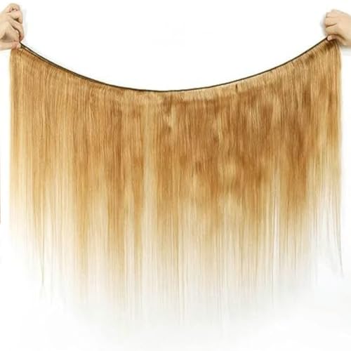 #27 Honey Blonde Bundle Human Hair Blonde Human Hair Bundles Straight 1 Bundle Color 27 16 Inch Blonde 100G/PC Unprocessed Brazilian Virgin Double Weft Hair Extension