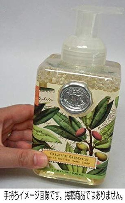 Michel Design Works Scented Foaming Hand Soap, Season's Greetings