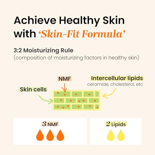 CNP Honey Ceramide Moisturizer with Propolis Extract & Hyaluronic Acid, Propolis Ampule Oil-in-Cream with 5 Oil Blend, Anti Aging Face Cream, for Firm, Radiant Skin, Korean Skin Care (1.76 fl. oz)