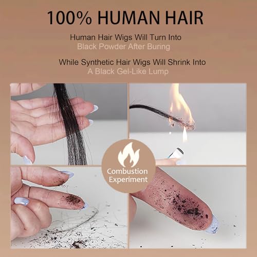 30 Inch Highlight Ombre Deep Wave Lace Front Wigs Human Hair Wig 13x6 Honey Blonde Wig Human Hair HD Glueless Deep Wave Wig 4/27 Colored Wet and Wavy Curly Wig Pre Plucked for Women